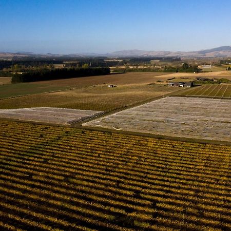 Romantic Vineyard Getaway Waipara Zewnętrze zdjęcie