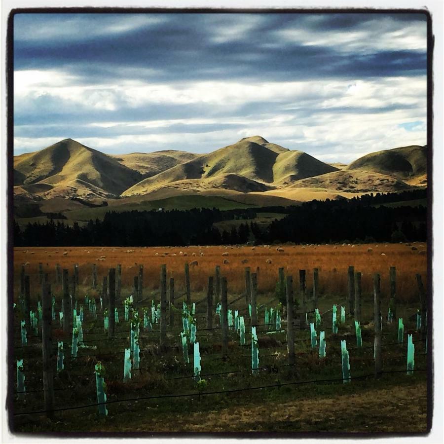 Romantic Vineyard Getaway Waipara Zewnętrze zdjęcie