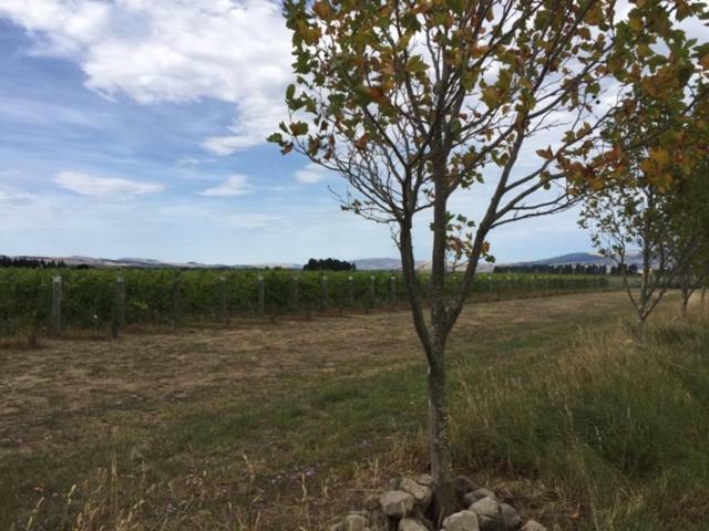 Romantic Vineyard Getaway Waipara Zewnętrze zdjęcie
